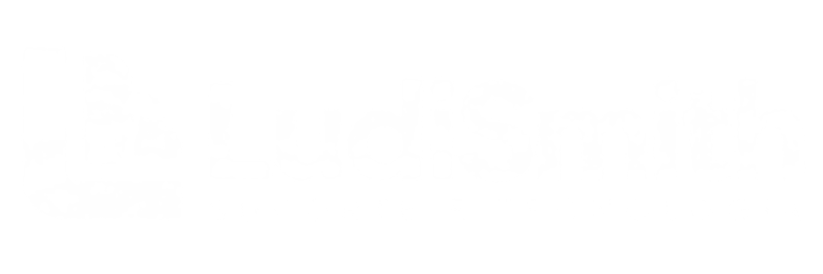 LudiSmith - Suporte e Tecnologia